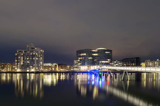 istock Modern cyclist bridge and Gemini Residence in Copenhagen by night 517493350