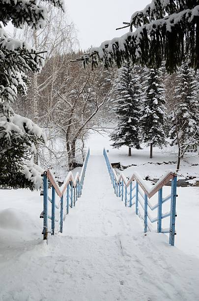 View of a snowy bridge with trees, Ordesa, Huesca