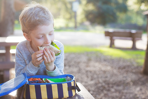 beautiful schoolboy eating sandwich for lunch during recess time at school
