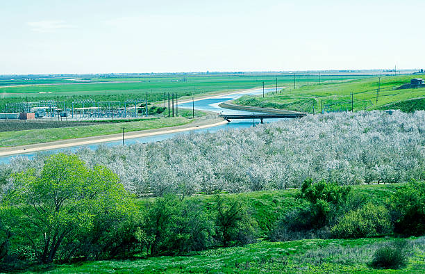 運河で農業地域や湿地の中心地でカリフォルニア州） - san joaquin valley ストックフォトと画像