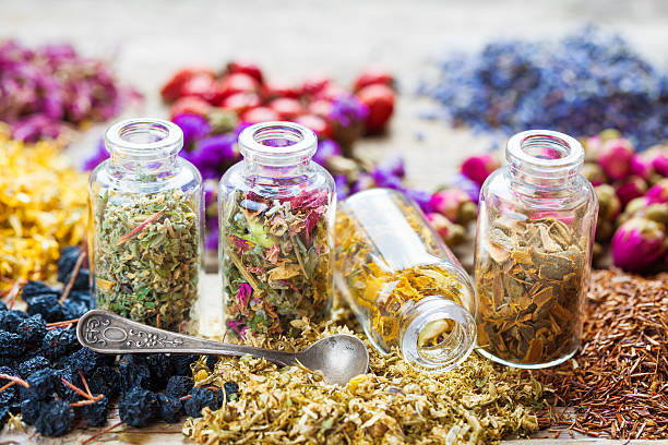 istock Bottles of healing herbs. 517495332