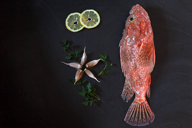 Red Scorpionfish Lemon Garlic Fresh red scorpionfish on the table with parsley leaves, garlic  and lemon slices, overhead shot. red scorpionfish photos stock pictures, royalty-free photos & images
