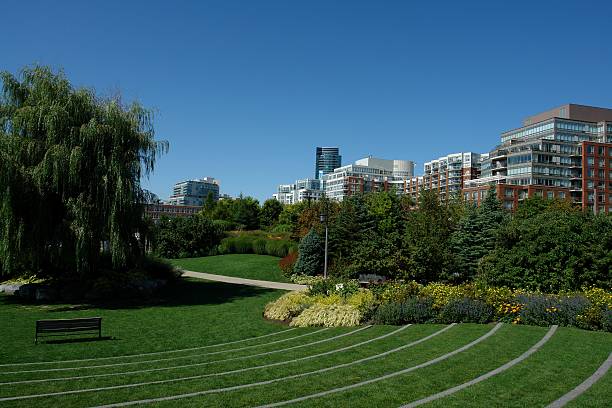toronto città verde parco con fiori e vista sullo skyline - urban scene canada city horizontal foto e immagini stock