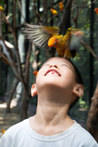 Malaysia, Kuala Lumpur\n\n[url=http://www.istockphoto.com/search/lightbox/7097057/?refnum=fototrav#1a84d7f7][img]https://dl.dropbox.com/u/61342260/istock%20Lightboxes/Indonesia.jpg[/img][/url]\n\n[url=http://istockpho.to/WMhD0R][img]https://dl.dropbox.com/u/61342260/istock%20Lightboxes/Thailand.jpg[/img][/url]\n\n[url=http://www.istockphoto.com/search/lightbox/7990713/?refnum=fototrav#f6739f3][img]https://dl.dropbox.com/u/61342260/istock%20Lightboxes/Malaysia.jpg[/img][/url]\n\n[url=http://www.istockphoto.com/search/lightbox/9213094/?refnum=fototrav#df82b8d][img]https://dl.dropbox.com/u/61342260/istock%20Lightboxes/Wildlife.jpg[/img][/url]