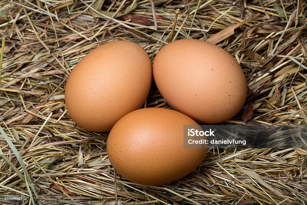 Three eggs in the hay nest This photo was shot with a Canon EOS 5D Mark III and L-series lens. Animal Egg Stock Photo