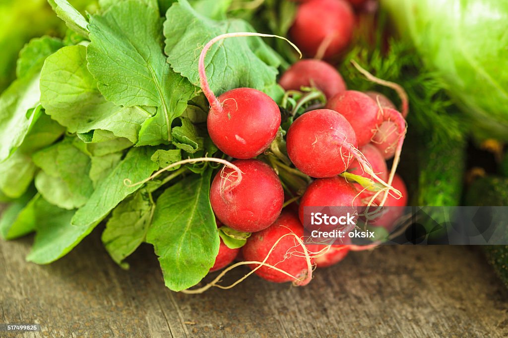 Fresh radish bunch Fresh radish bunch and other spring vegetables Agriculture Stock Photo