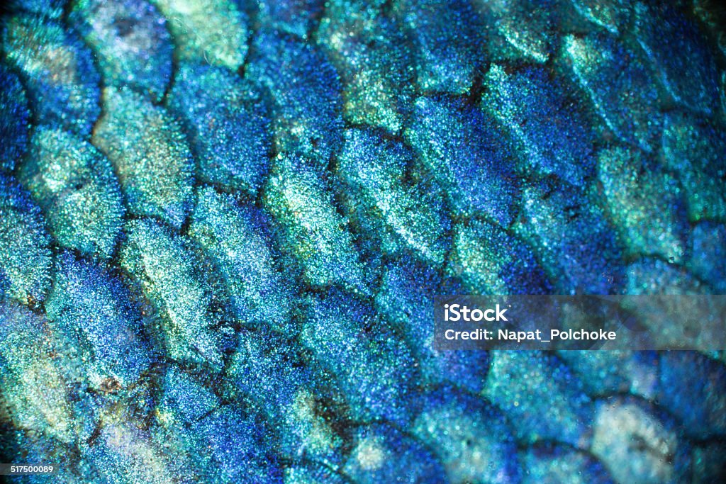 Close-up on a fish skin Close-up on a bettafish skin Fish Stock Photo