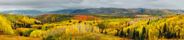 istock Fall in Steamboat Springs Colorado 517500545