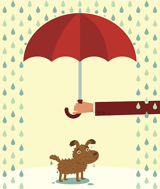 illustrations, cliparts, dessins animés et icônes de wet chien sous la pluie. - flood water shield help