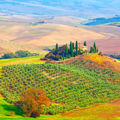 golden autumn in Val d'Orcia