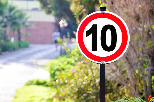 istock Speed limit sign in park 517511954