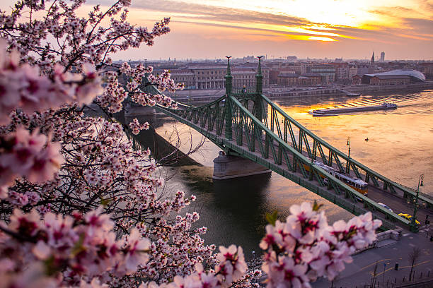 Spring in Budapest Spring feeling in budapest on a morning in March budapest photos stock pictures, royalty-free photos & images