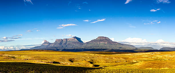 Panoramic view of tepuys from Mirador Oso La Gran Sabana. Panoramic view from left to right Western Tepuy chain: Uru, Tramen, Karaurin and Wadaka. This chain ends with the Roraima the highest tepuy in Venezuela with 2850 mt over sea level.  The Kukenan and Roraima tepuys are the most visited and tourist places at the south of Venezuela, right at the borders with Brazil and Guyana. mount roraima south america stock pictures, royalty-free photos & images