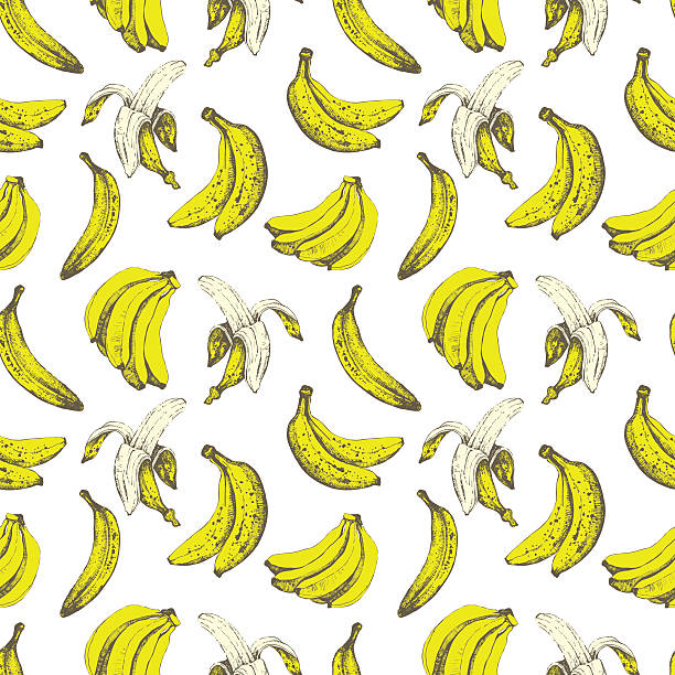 Hand-drawn sketch of banana. Seamless nature background. Fresh organic food.  Banana yellow background. Sketch style. banana drawings stock illustrations