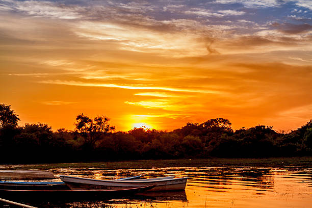 istock Fishermen's boats at Orinoco River, Caicara, Venezuela 517518148