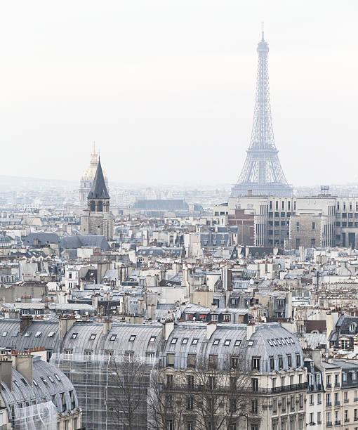 Aerial Traditional View of Paris with the Eiffel Tower. France stock photo