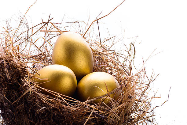 istock Hay Nest with 3 golden Eggs. 517521179