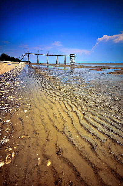 pontão na praia - bowfell imagens e fotografias de stock