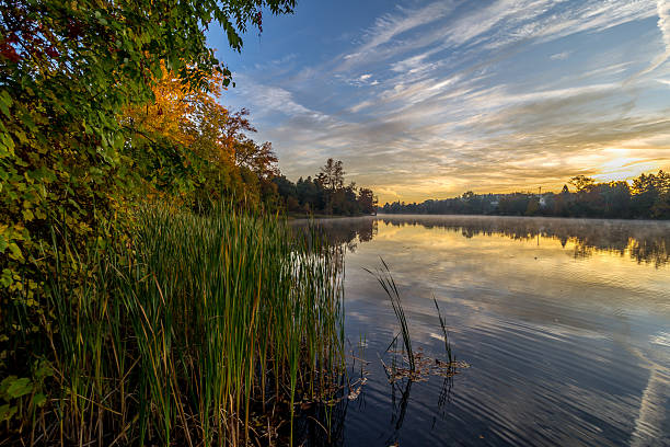 istock Shoreline in the morning 517521463