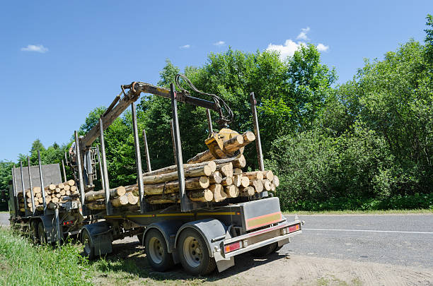 istock heavy forest trailer with log pile along road 517522237