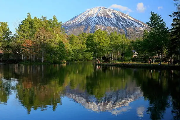 I saw fresh green,pond and Mt.Yotei at Niseko in Japan.