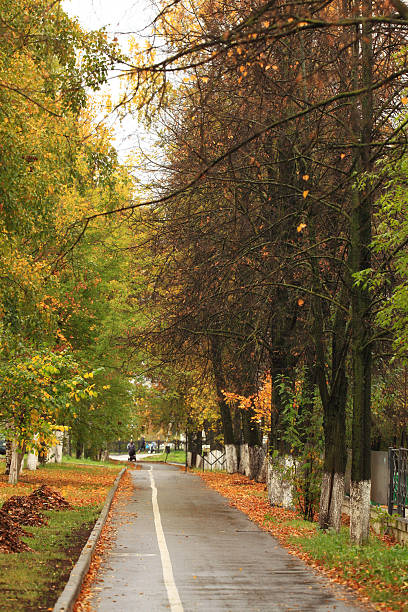 istock Autumn Street Park 517528463