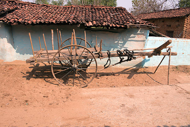 istock Bullock cart in Indian village 517530061