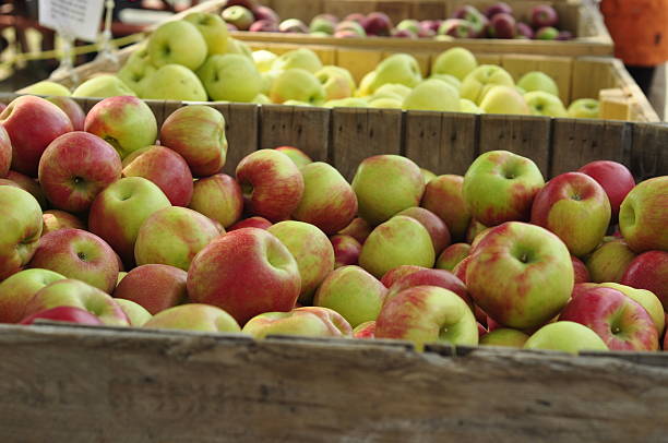 istock Bins of Three Varieties of Fresh Apples 517530489