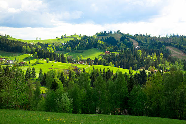 Landscape of polish mountains, Beskidy, with green meadows, trees and houses.