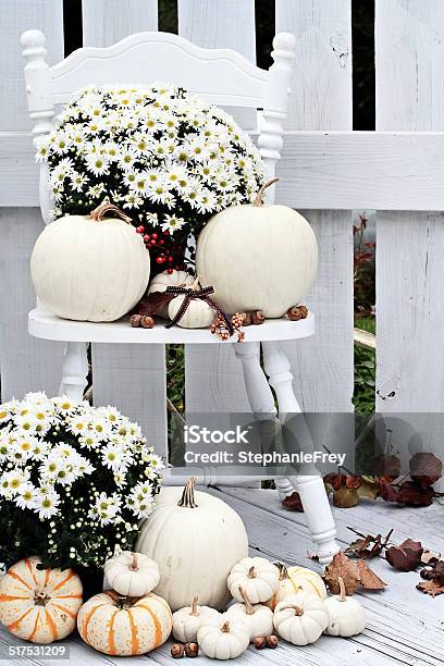 White Pumpkins And Mums Stock Photo - Download Image Now - Pumpkin, Porch, Autumn