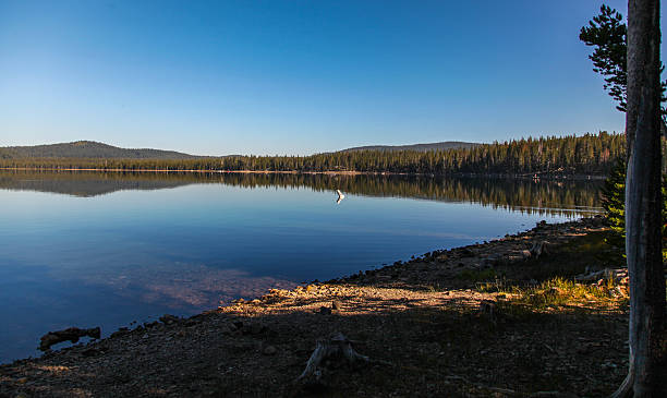 istock Modoc National Forest - Medicine Lake 517531347