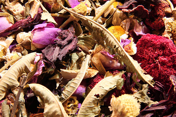 istock Spices and tea - Stock Image 517531551