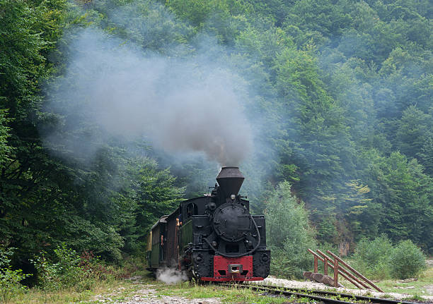 istock retro wood-burning locomotive 517534024