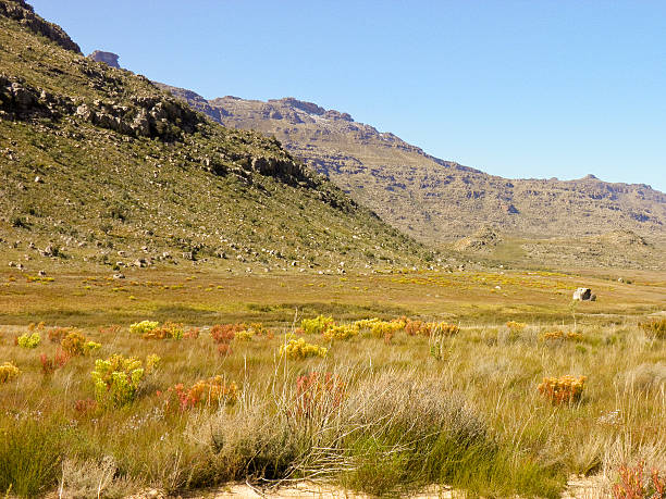 景観にセダーバーグ自然保護区、南アフリカ - sentinal ストックフォトと画像