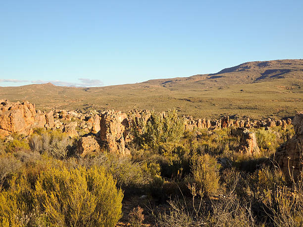 景観にセダーバーグ自然保護区、南アフリカ - sentinal ストックフォトと画像
