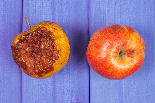 Old wrinkled and fresh apples on purple boards Fresh and old wrinkled apples with mold on purple boards, healthy and unhealthy food rotting apple fruit wrinkled stock pictures, royalty-free photos & images