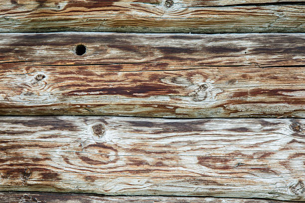 textura de madeira - wood cracked single line striped - fotografias e filmes do acervo