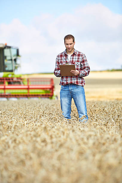 istock Farmer checking a clipboard with combine harvester in the background 517536397