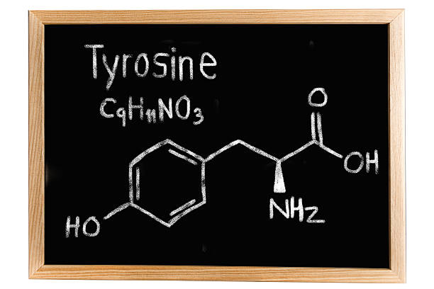 istock Blackboard with the chemical formula of Thyrosine 517538536