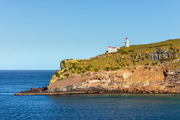 istock Taiaroa Head Lighthouse - New Zealand 517539402