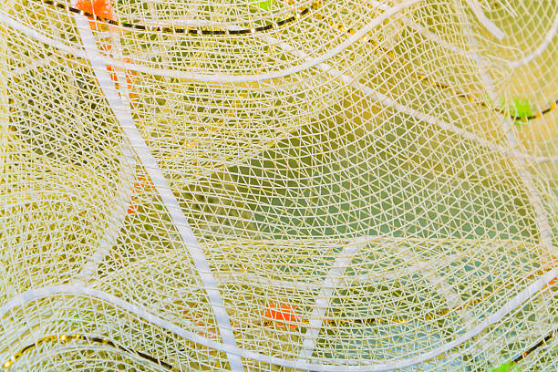 istock The background, texture of white plastic mesh 517541492