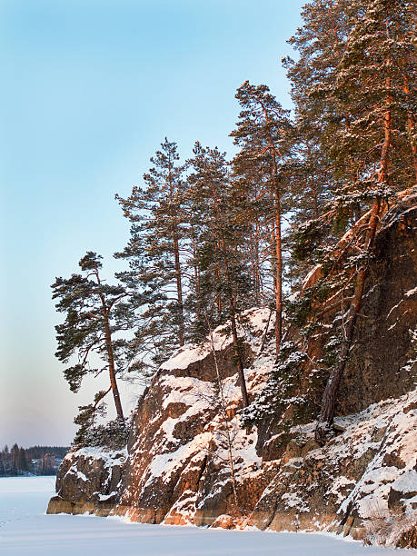istock stone lake shore with pine trees 517543426