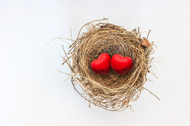 istock Two red hearts in nature bird nest 517546900