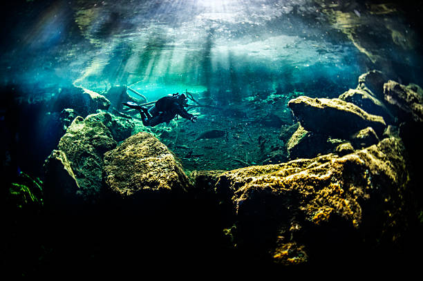 Cenotes in Mexico Scuba diver exploring the underwater cenotes. puerto aventuras stock pictures, royalty-free photos & images