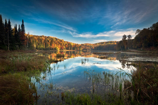 istock Autumn Canadian Landscape, Sunset Skies 517547867