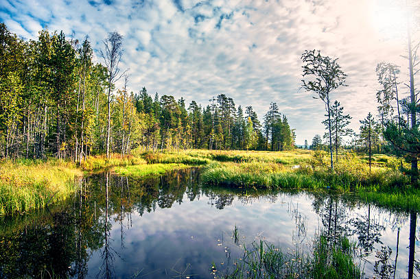 istock Autumn landscape with Salmon lake 517548769