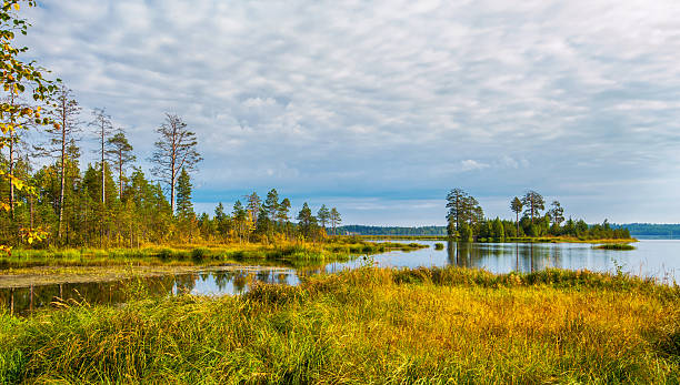 istock Autumn landscape with Salmon lake 517548827