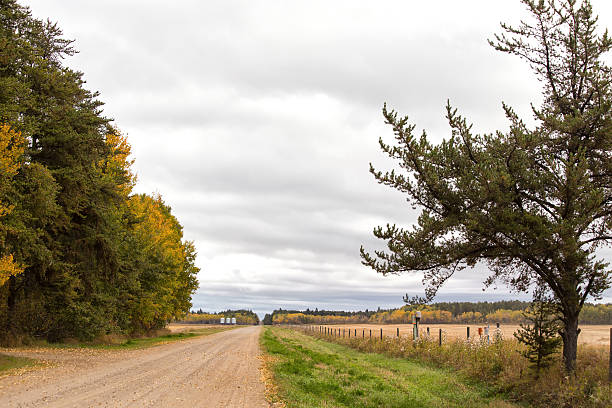 istock Rural agricultural landscape 517553419