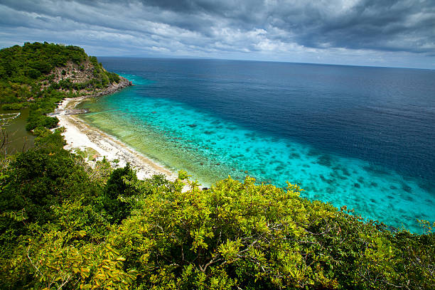 Apo View from top of a hill to Apo Reef Natural Park. Apo island, Philippines apo island stock pictures, royalty-free photos & images