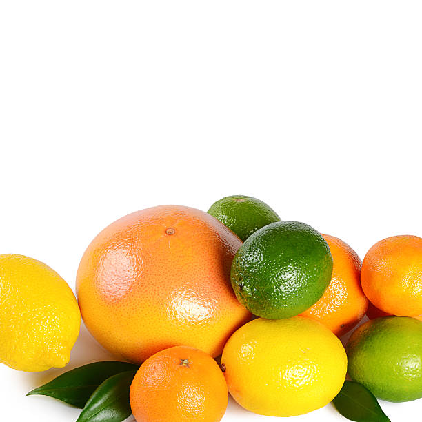 istock Allsorts from a citrus isolated on white 517568360